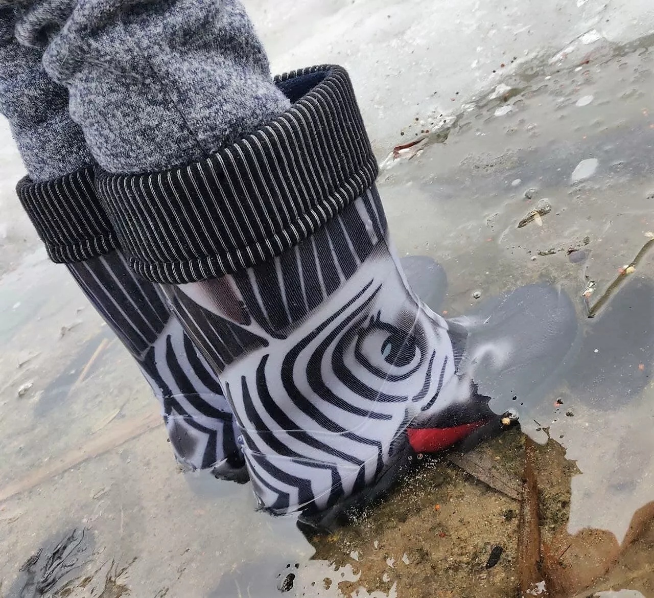 Dětské zateplené holinky Demar Twister Lux Print S Zebra