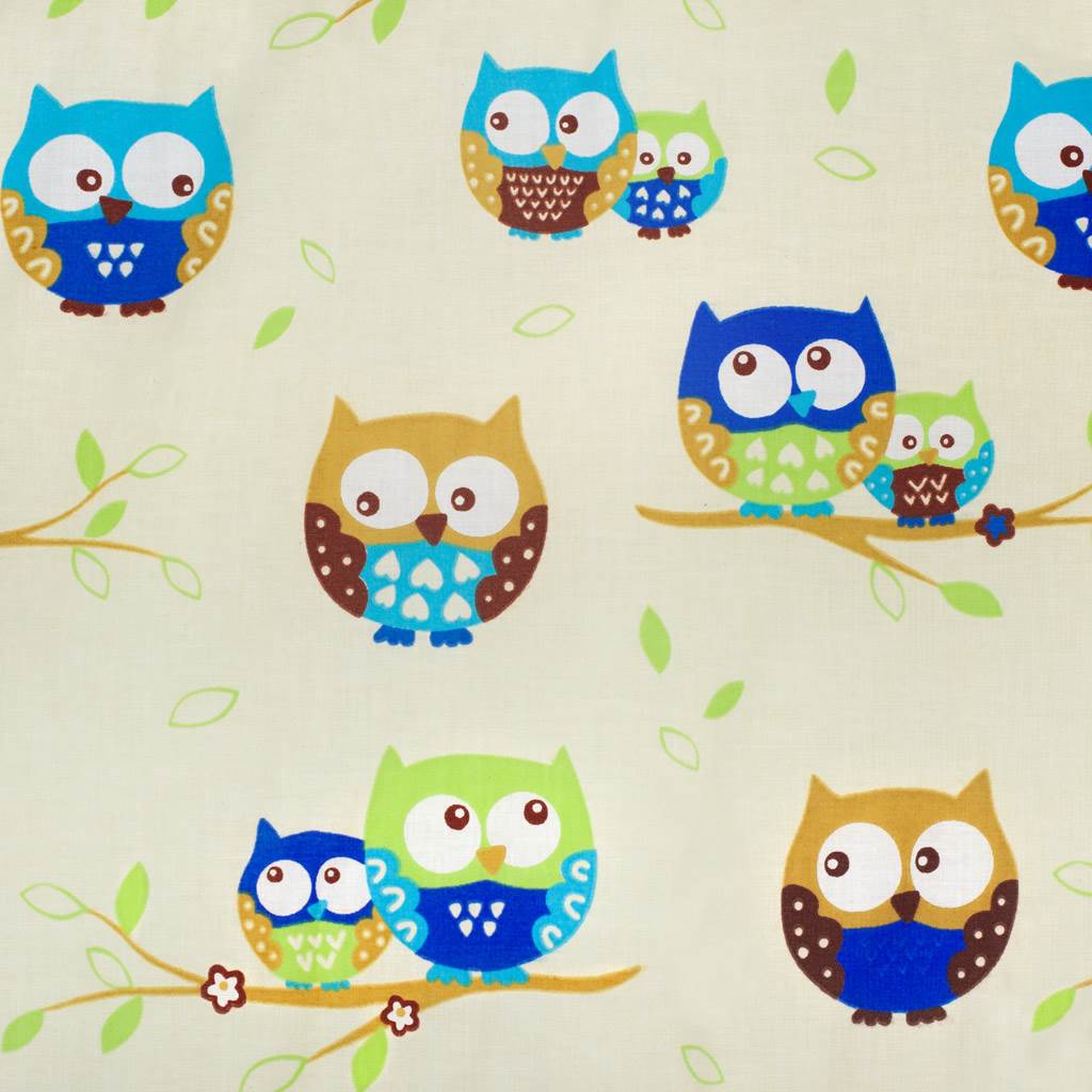 2-dílné ložní povlečení NEW BABY 90x120 cm béžové sovy modré