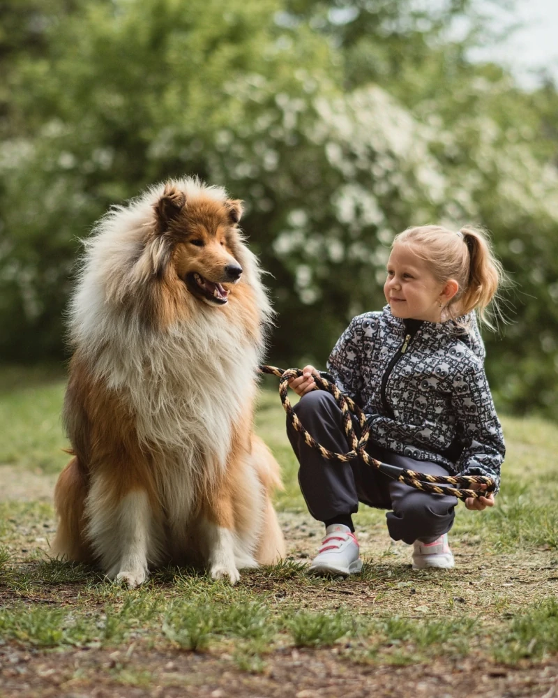 Dětská softshellová bunda zateplená Jožánek pandy