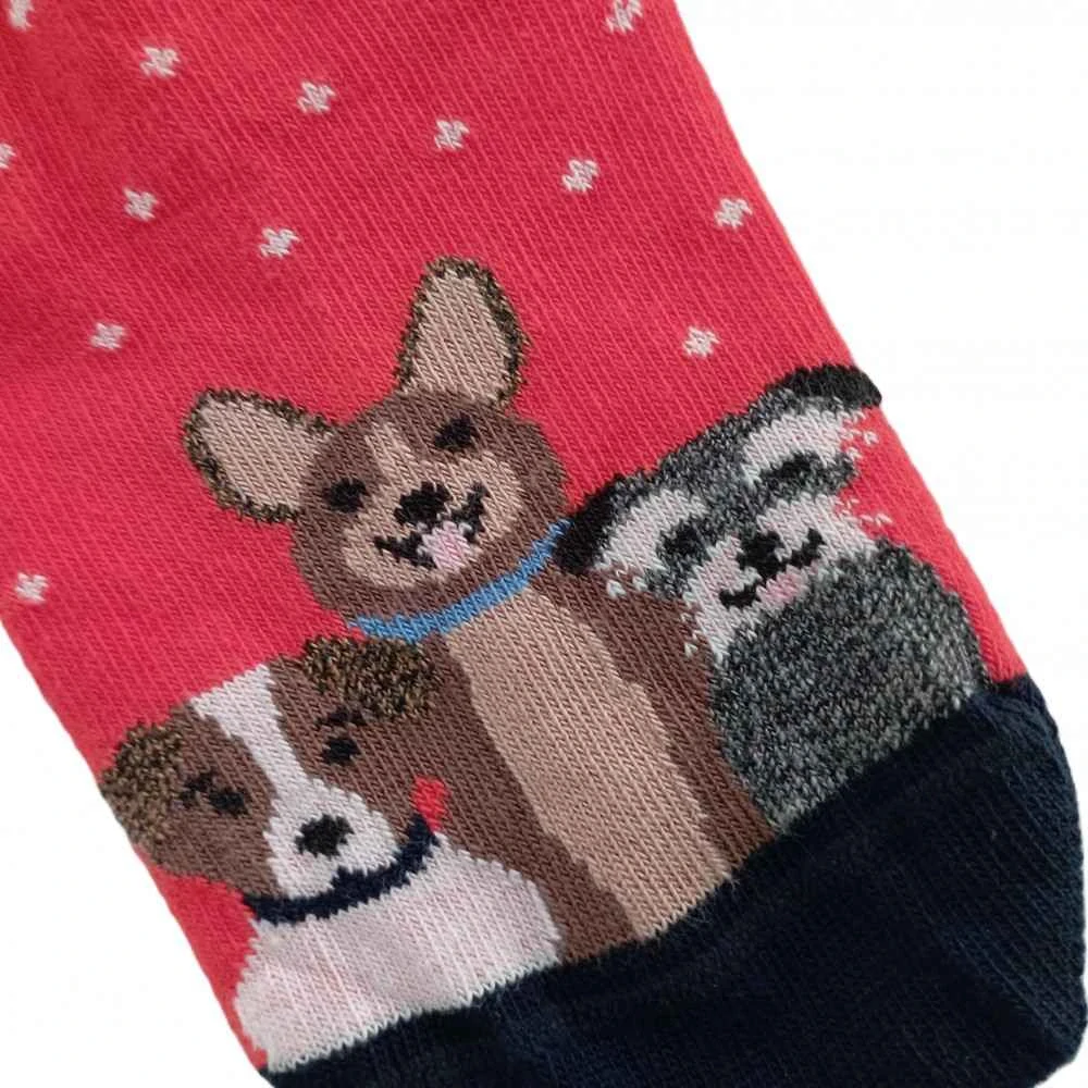 Dívčí nízké ponožky Trepon Friend červené