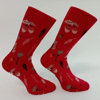 Dámské ponožky s ruličkovým lemem Trepon Eichel, červené