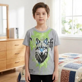 Chlapecké tričko krátký rukáv Kugo DC9410 šedý melír