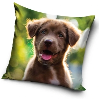 Povlak na polštářek Štěňátko Malý nezbeda 40x40 cm