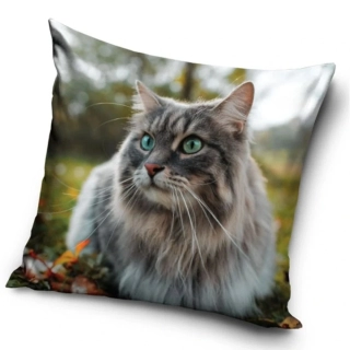 Povlak na polštářek Kočka sibiřská 40x40 cm